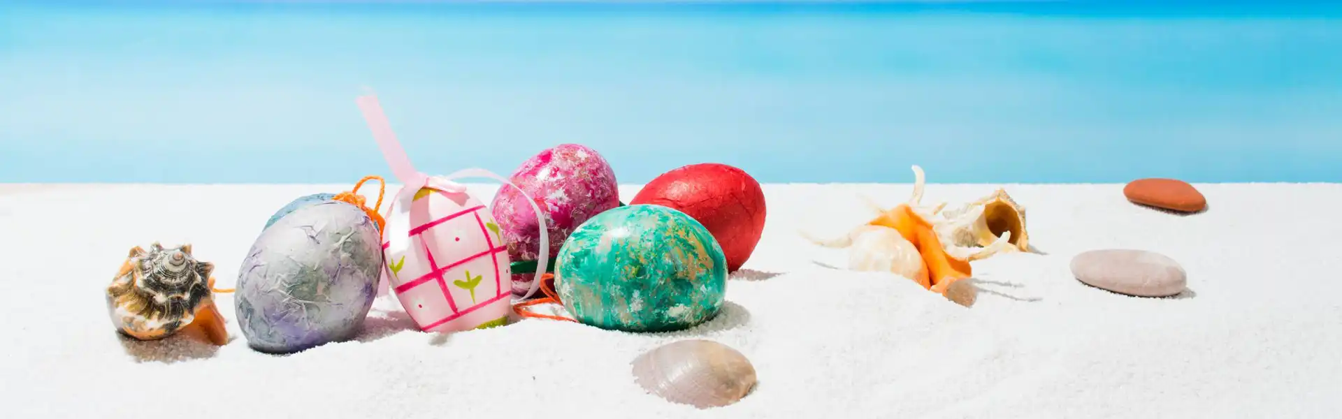 Festeggia a bordo di navi di ultima generazione 